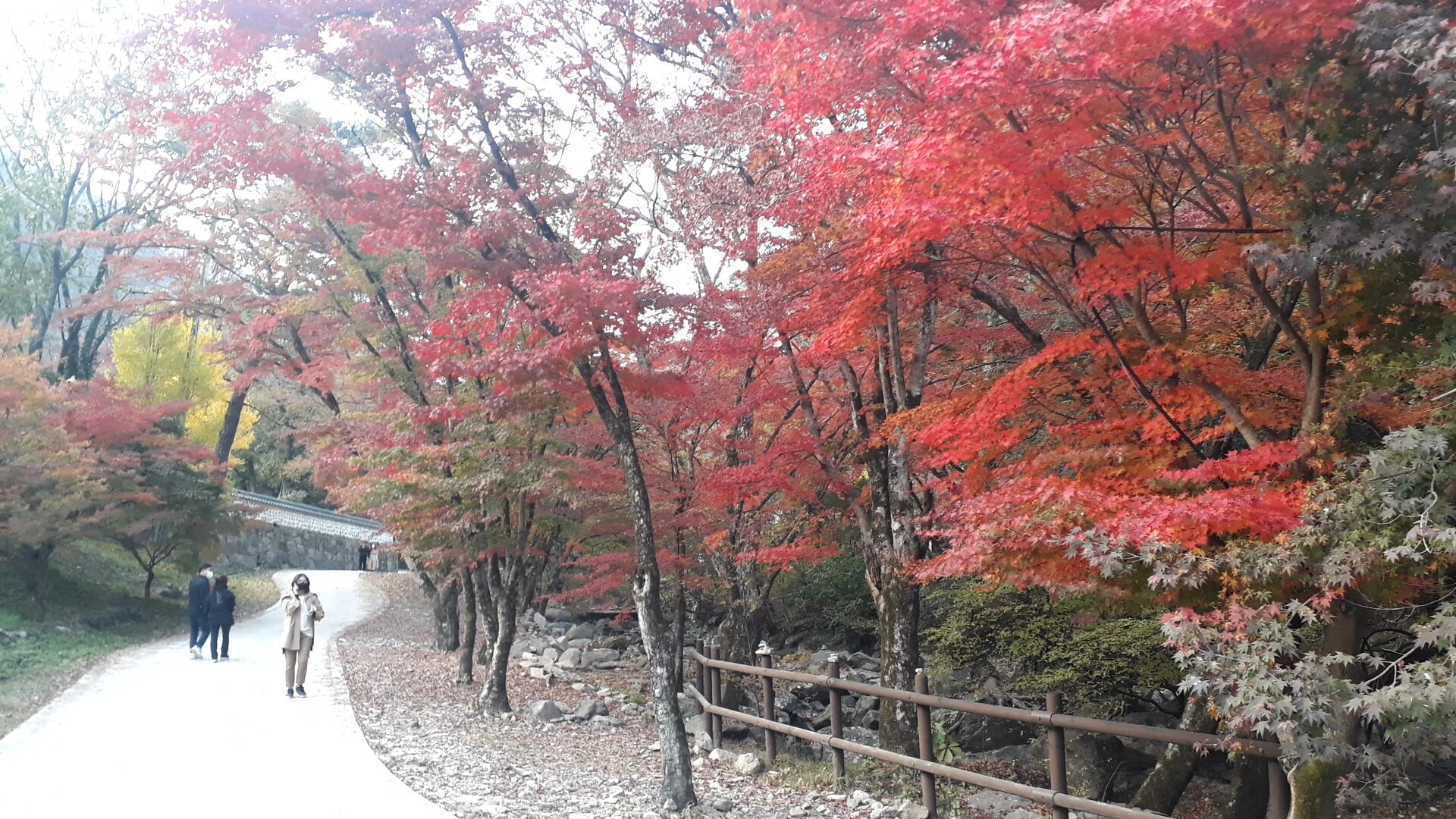 Baekyangsa(Temple) a beautiful place