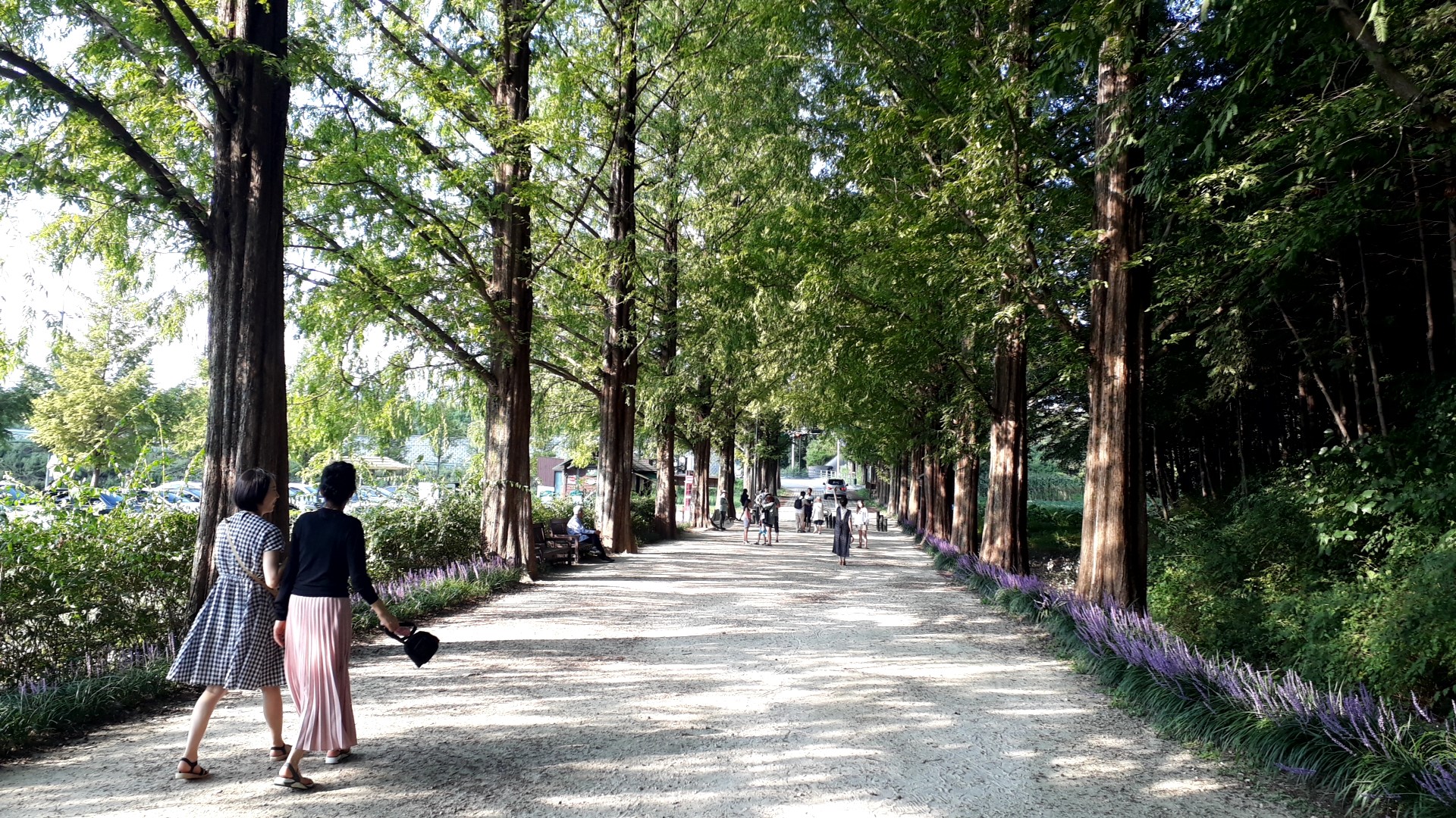 Incheon’s Next Leap: Unlocking Urban Potential with the 2nd Metropolitan Railway Master Plan (2035 Vision)