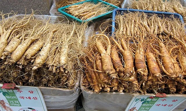 Korean Ginseng Connecting Tradition and the World