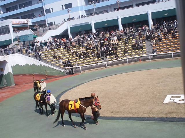 Complete analysis of Gwacheon Racecourse