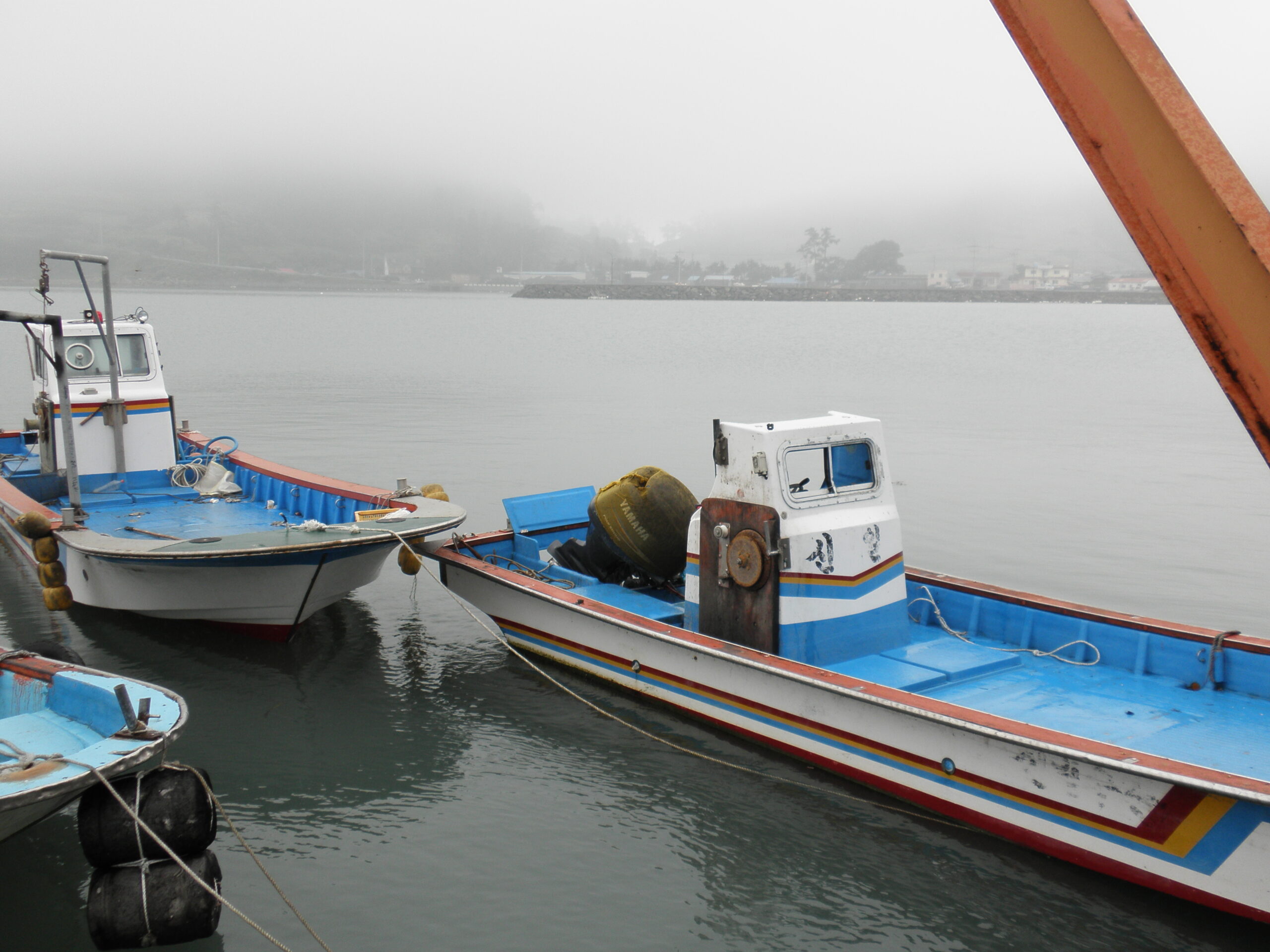 Abalone Heaven: Your Guide to Wando Island, South Korea