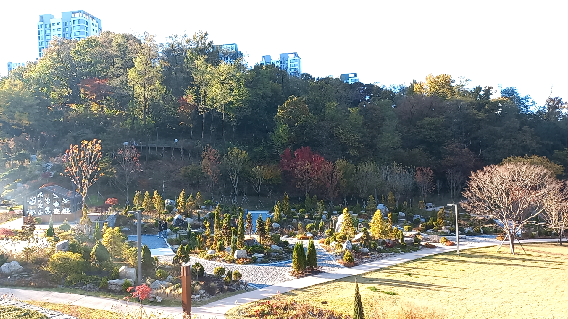 Discover Yeongheung Arboretum: Suwon’s Hidden Gem for Nature Lovers